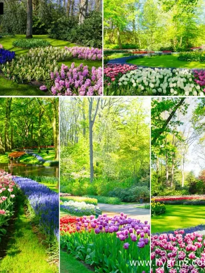 A collection of beautiful garden scenes I've designed, showcasing vibrant flower beds and lush green lawns that thrive in the sun. These images highlight the colorful possibilities for your garden.