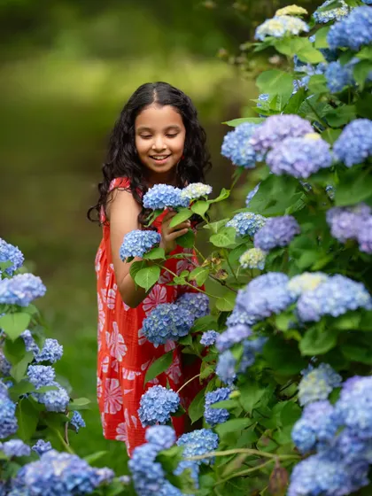 My daughter admiring a wall of beautiful blue hydrangeas. Even when they're preteens and hate to pose, we can find moments of natural beauty.