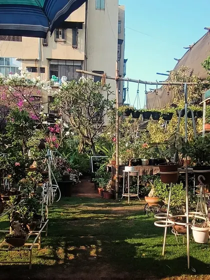 Our plant babies soaking up the morning sun. The nursery is our happy place, filled with plants of all shapes and sizes.