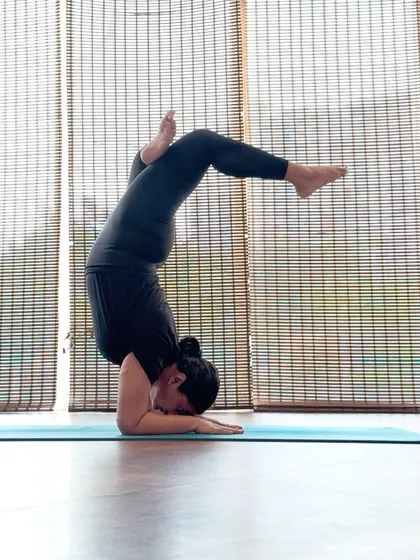 Learning the half-lotus variation in Pincha Mayurasana. This pose requires open hips in addition to the strength and balance needed for the forearm stand.
