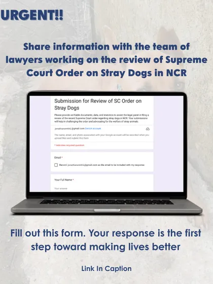 Your response is the first step toward saving lives. A team of lawyers is reviewing the Supreme Court order on stray dogs in NCR, and they need information from you. Please fill out the form to share your evidence.