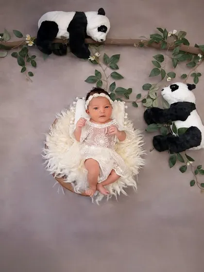 An adorable awake moment in a whimsical panda-themed setup. The baby is nestled in a fluffy basket against a neutral backdrop, surrounded by playful pandas climbing on branches.