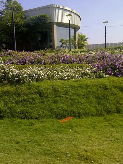 A contoured landscape with tiered levels of lush grass and beds of white and purple flowers. This demonstrates my work in land grading and planting on sloped terrains.