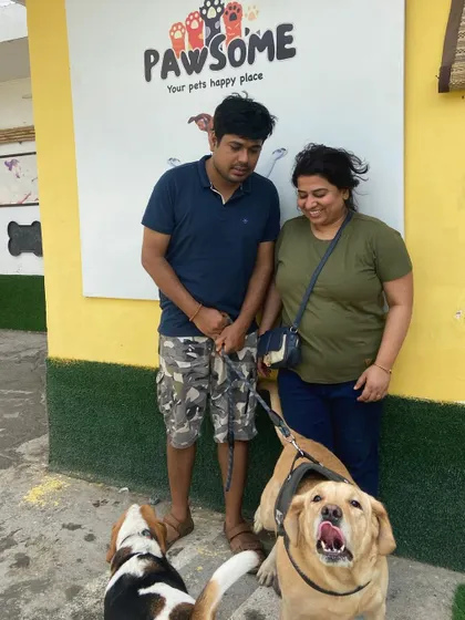 Happy clients! Murphy the Labrador and his little Beagle friend both enjoyed their stay with us.