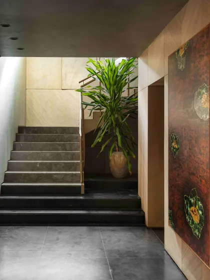 The staircase leading to the basement is framed by a large potted plant, adding a touch of nature to the interior. The dark, honed granite of the stairs contrasts with the warm wood paneling, creating a rich and layered material palette.