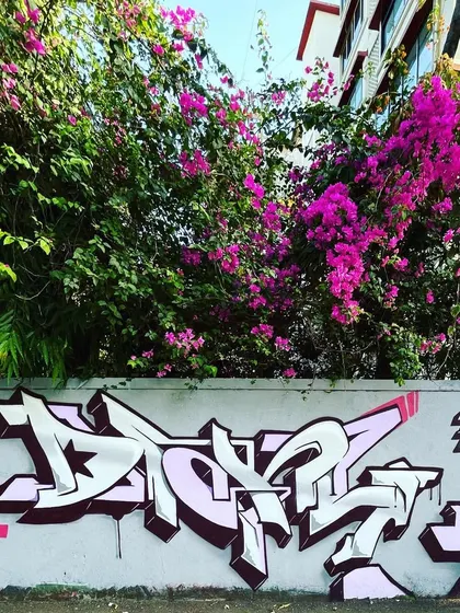 In search of a new flow. This piece combines a wildstyle "DKRYPT" with a small Devnagri tag, mixing my different styles on one wall.