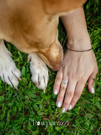 A paw on a hand, a gentle sniff. This close-up from Noor's Gotcha Day shoot is a beautiful symbol of the trust and connection between a rescue dog and her new family. It's the little details that tell the biggest stories.