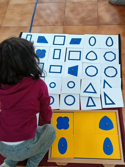 A child works with the geometric cabinet, a core sensorial material. She is learning to visually discriminate between different shapes, an essential pre-reading and pre-math skill.
