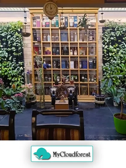 I believe nature is the ultimate luxury. Here, two floor-to-ceiling living walls flank a beautiful display cabinet, transforming this indoor space into a breathable, living masterpiece. These natural walls actively purify the air, creating a healthier and more serene environment.