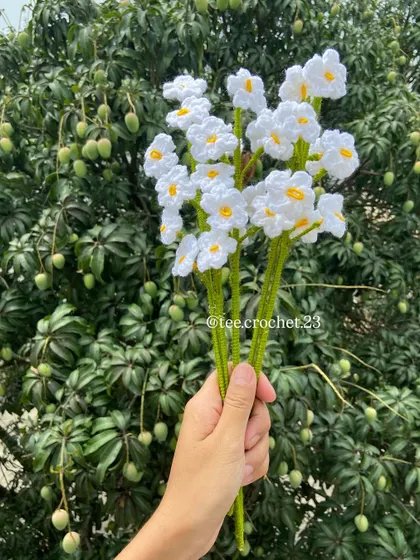 A delicate bouquet of white forget-me-not flowers.
