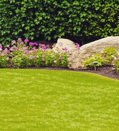 A close-up of a garden border, showing a healthy lawn meeting a mulched bed with flowers and a large boulder. This highlights our attention to detail in creating clean edges and natural transitions.