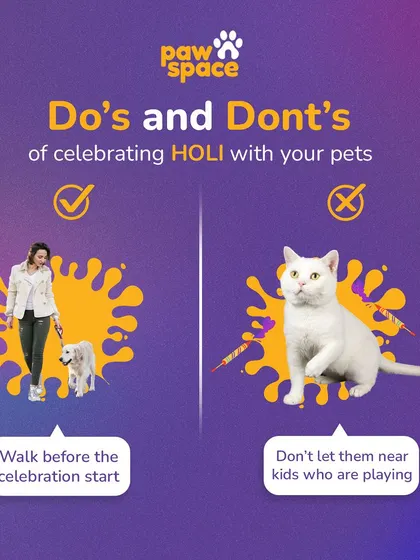 Festivals like Holi can be stressful and dangerous for pets. This guide outlines important do's and don'ts, such as walking your dog before celebrations start and keeping them away from colored powders and loud noises to ensure their safety.