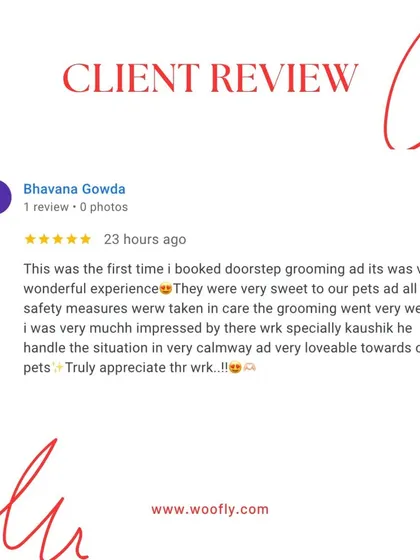 A first-time booking for doorstep grooming should be a wonderful experience. I'm glad I could deliver with a calm, sweet, and safe session for this client's pets.