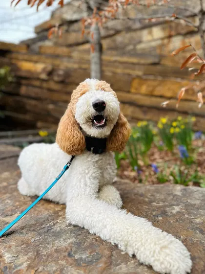Poppy was a doll who needed a lot of confidence around new people and environments. After her bootcamp, she is like a whole new woman.
