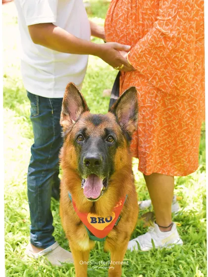 A proud family portrait with the 'World's Best Bro' front and center. This German Shepherd was so well-behaved, standing happily with his parents-to-be as they celebrated the upcoming arrival of their new baby.