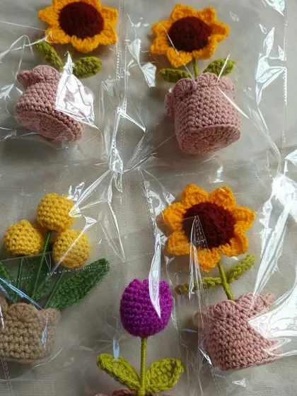 A collection of different potted flowers, each individually wrapped and ready to be sold.