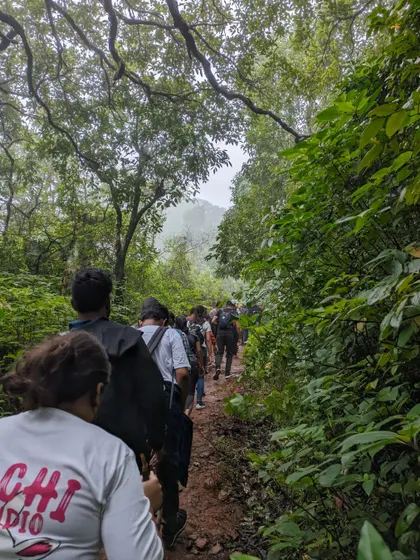 A glimpse of the trail on our Netravathi trek. Our group walks through a lush forest path in the beautiful Chikmagalur region.