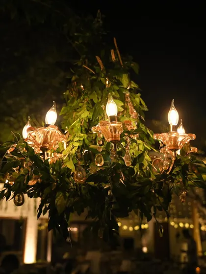A classic chandelier transformed with lush green foliage for an outdoor evening event. This fusion of elegant lighting and natural elements creates a magical, enchanted forest ambiance.