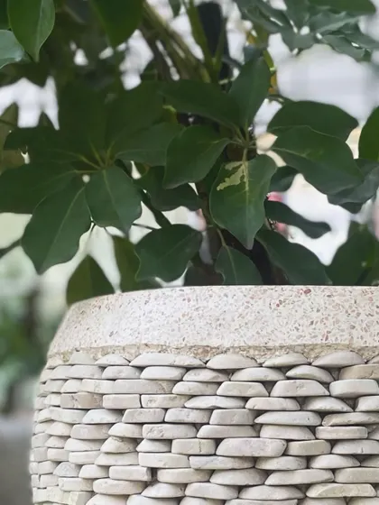 A duplicate close-up of the beautiful white pebble texture.