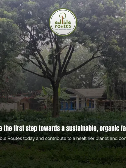 This is our invitation to you. Take the first step towards a sustainable, organic lifestyle. Join us and contribute to a healthier planet and community.