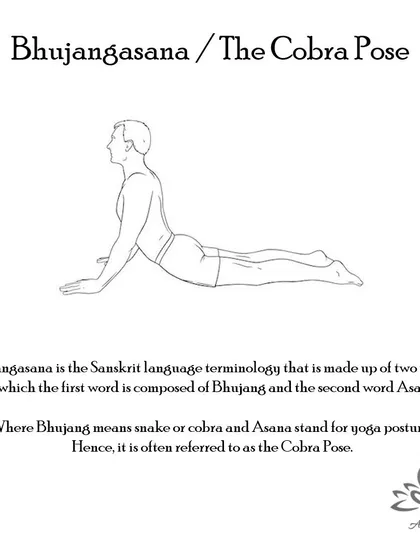 Bhujangasana (The Cobra Pose) strengthens the spine, opens the chest, and stimulates abdominal organs. It is beneficial for managing stress and asthma.