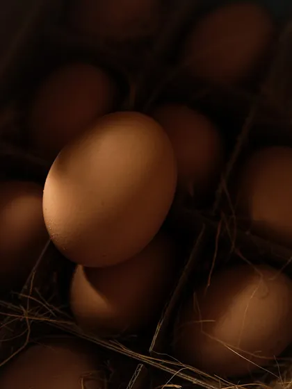A close-up, artistic shot of an egg, using shadow and light to create a dramatic and abstract composition.