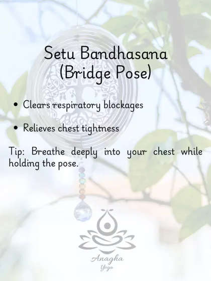 Setu Bandhasana (Bridge Pose) is effective for clearing respiratory blockages and relieving chest tightness. Deep breathing into the chest is encouraged.