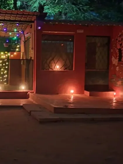 A quiet, beautifully lit corner of our facility at night. We ensure a peaceful environment for the pets after a long day of play.