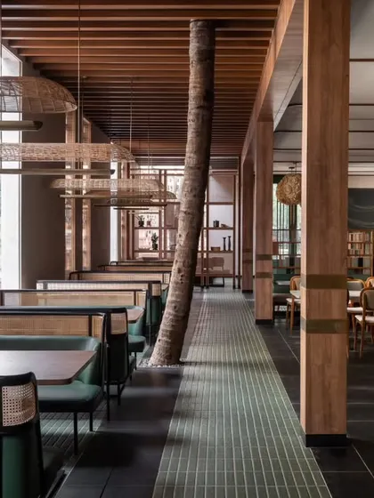 We designed the Ishtaa restaurant interior around the existing trees, making them the heart of the space. This approach to biophilic design brings a natural calm and soul to the dining experience, blending the indoors with the outdoors through custom cafe seating and warm, natural materials.
