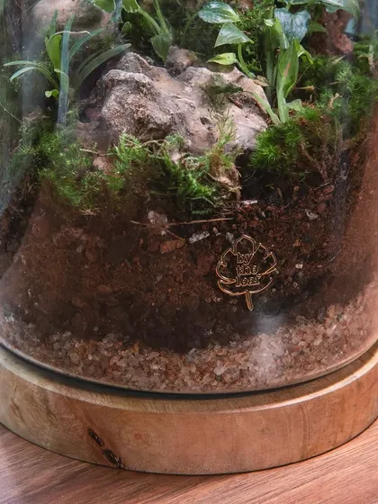 The base of the terrarium shows the layers of substrate and my signature logo. It's a handcrafted piece designed to bring nature indoors.
