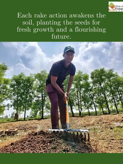 Preparing the soil is the first and most crucial step. Here, a team member rakes the soil, awakening it and getting it ready to nurture new life. A strong foundation is everything.