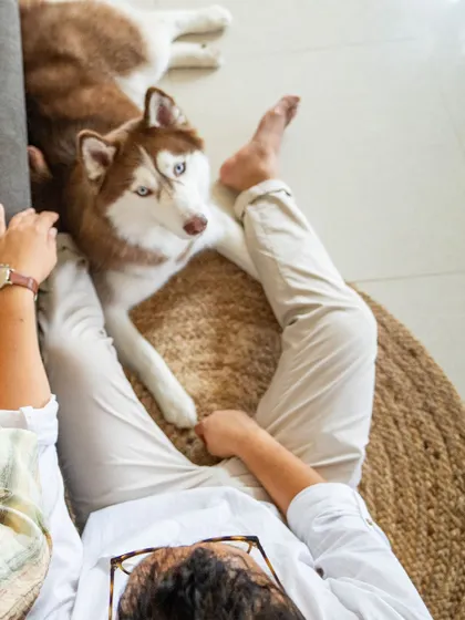 A top-down view of a tender moment between a mom, her newborn, and their watchful Husky.