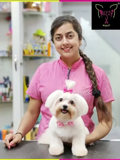 Cute Lucy the Maltese is ready for summer. Her short, neat haircut is perfect for staying cool and active.