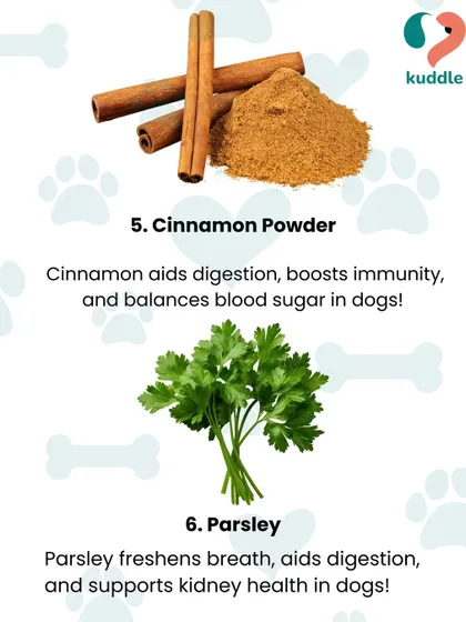 Cinnamon powder helps balance blood sugar, while parsley freshens breath and supports kidney health. Here are two more healthy, natural toppings to try for your picky pet.