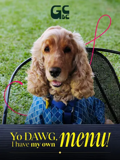 Yo dawg, I have my own menu. This cool cocker spaniel knows he's a VIP here.