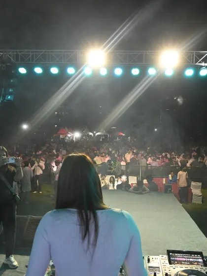 The view from my perspective on stage, looking out at a sea of people under the festival lights. This shot captures the scale and magic of a large-scale performance.