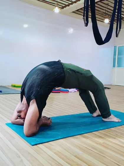 An advanced practitioner holds a deep forearm wheel pose, demonstrating incredible spinal flexibility and shoulder strength.