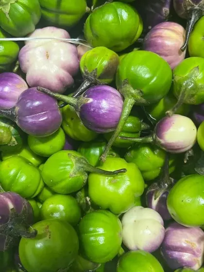 Close-up of the mixed small eggplants, showing their fresh stems. This is a sign of recently picked produce.