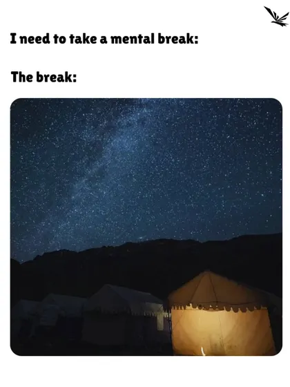 Need a mental break? How about camping under a sky full of stars in the middle of the desert? We make it happen.