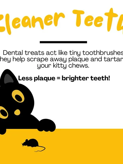 Dental treats act like tiny toothbrushes. The abrasive texture helps scrape away plaque and tartar as your cat chews, leading to cleaner, brighter teeth.