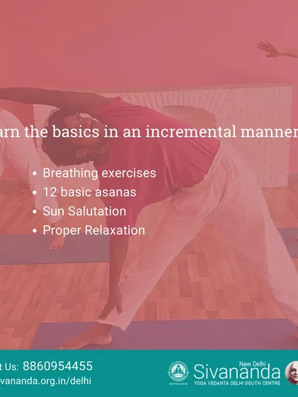 Our beginner's course breaks down the practice into manageable steps. You will learn foundational breathing exercises, the 12 basic asanas, Sun Salutation, and proper relaxation.