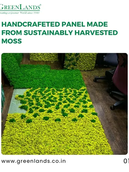 Here you can see the process of creating a moss wall. Each panel is handcrafted using sustainably harvested, preserved moss, allowing me to create intricate patterns and designs before installing them on site.