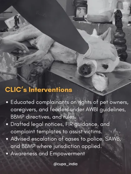 My interventions involve educating complainants on their rights, drafting legal notices and FIRs, and advising on how to escalate cases to the police and other authorities.