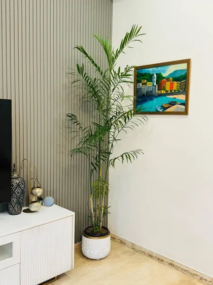 Perfection is finding the right plant for the right spot. This tall Bamboo Palm fits perfectly in this corner, adding height and a tropical feel next to the TV console.
