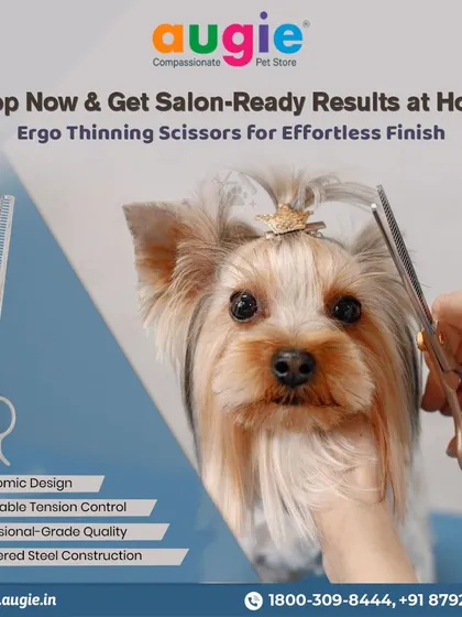 Get salon-ready results at home with our Ergo Thinning Scissors. With an ergonomic design, adjustable tension, and professional-grade tempered steel, they provide an effortless, beautiful finish.