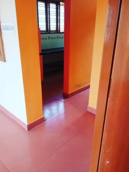 A view from a doorway, looking into the freshly painted hallway. The bright colors make the space feel lively and new.
