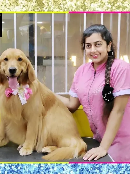 A shining star. This Golden Retriever's coat is absolutely radiant after her grooming, finished with a beautiful pink bow.