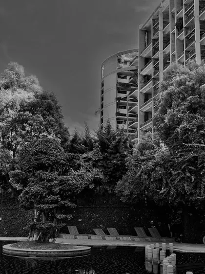 This artistic shot captures the harmony between a building's strong architectural form and the surrounding natural elements. It’s about finding a space that is both impressive and serene.