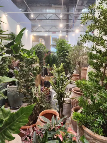 How many is too many plants? Our booth at the Acetech exhibition was a jungle of our latest and best green decor, showcasing our passion for maximalist plant styling.
