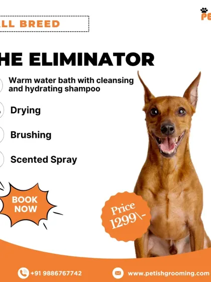 Here is the pricing for "The Eliminator" package for small breeds. This service includes a warm bath, drying, brushing, and a scented spray for just ₹1299.